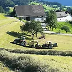 Alloggio per agriturismo Familienbauernhof Imitz,