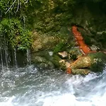 Familienbauernhof Imitz, Vakantieboerderij *