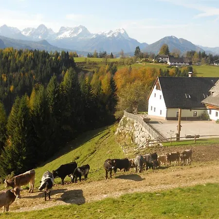 Familienbauernhof Imitz, *