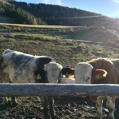 Familienbauernhof Imitz, Farm stay Spital Am Pyhrn