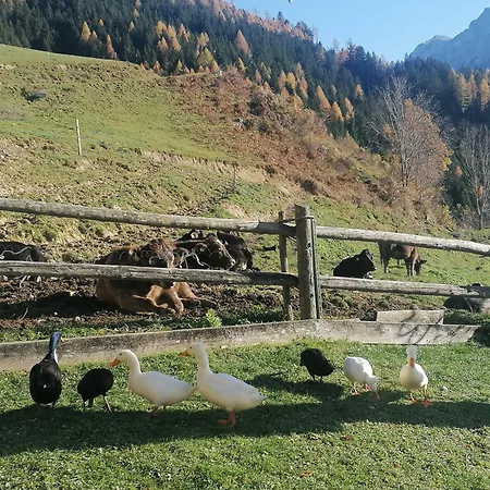Farm stay Familienbauernhof Imitz, Spital Am Pyhrn