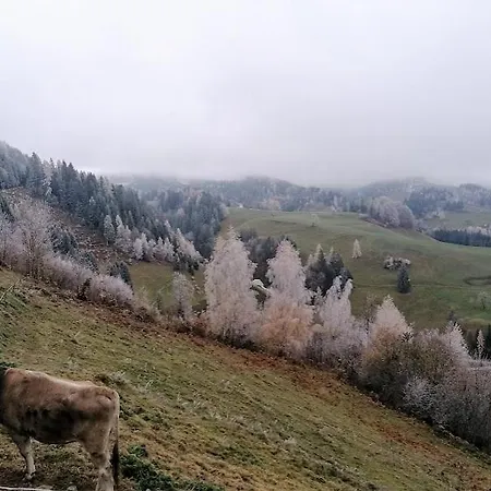 Familienbauernhof Imitz, Фермерский дом