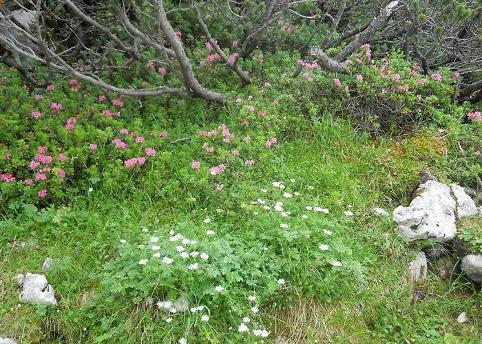 Familienbauernhof Imitz, Çiftlik konaklama