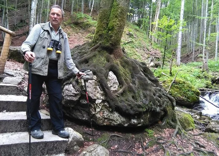 Фермерский дом Familienbauernhof Imitz, Шпиталь-ам-Пихрн