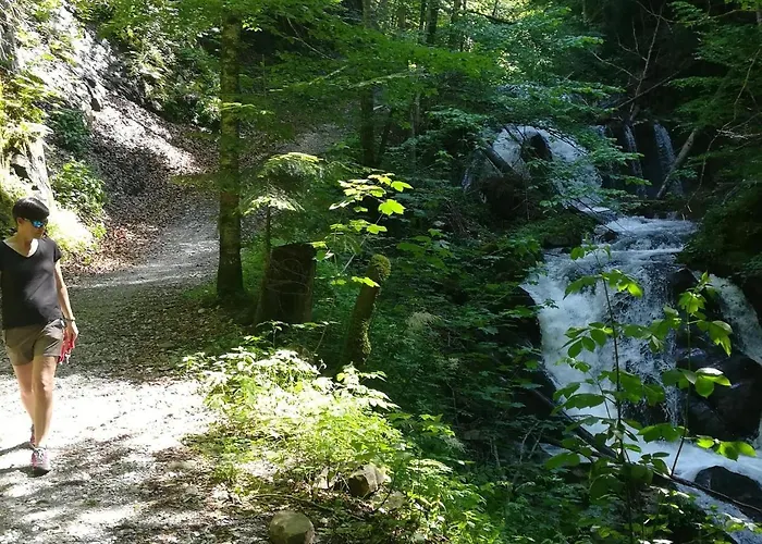 Farm stay Familienbauernhof Imitz, *