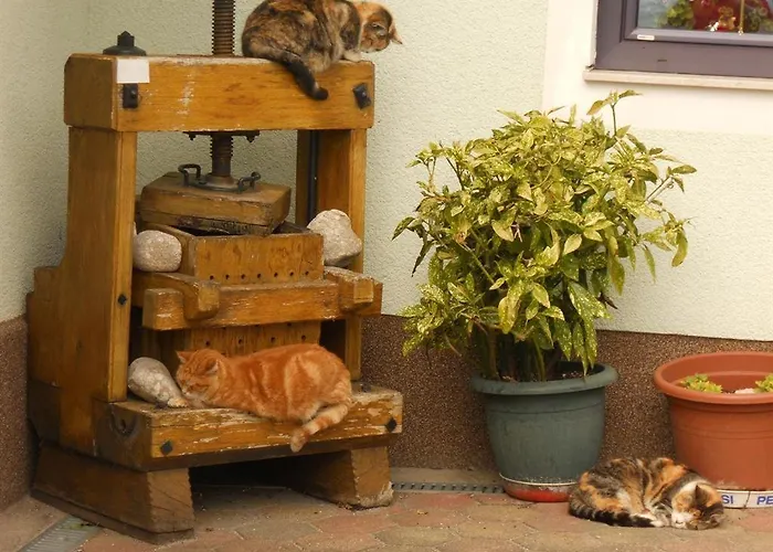 Фермерский дом Familienbauernhof Imitz, *