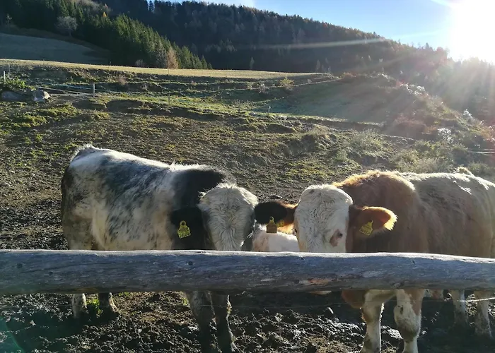 Familienbauernhof Imitz, Çiftlik konaklama Spital Am Pyhrn