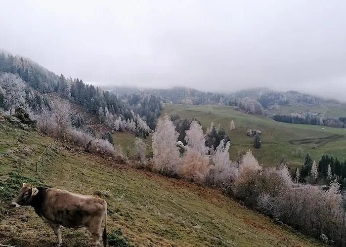 Familienbauernhof Imitz, Фермерский дом