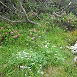 Familienbauernhof Imitz, בית חווה