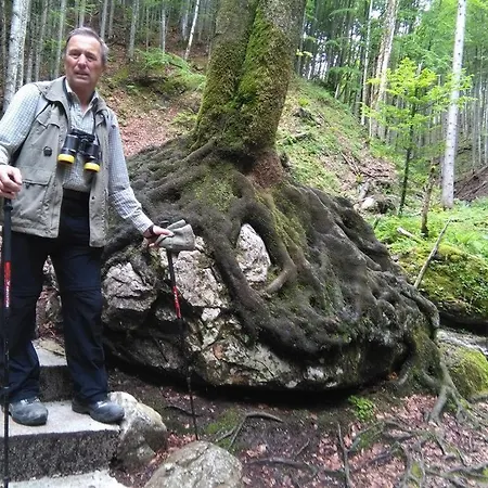 ファームステイ Familienbauernhof Imitz, シュピタル・アム・ピュールン