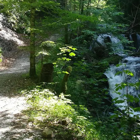 ファームステイ Familienbauernhof Imitz, *