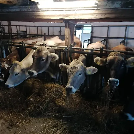 Familienbauernhof Imitz, ファームステイ