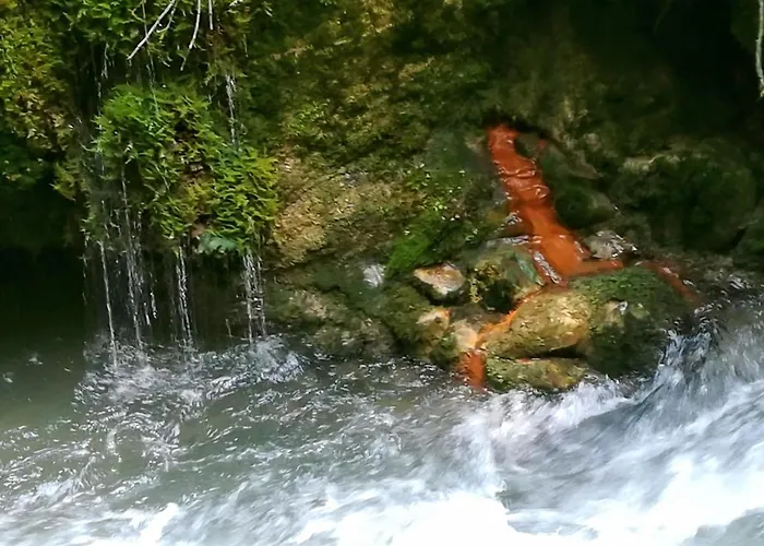 Familienbauernhof Imitz, Κατάλυμα σε φάρμα *